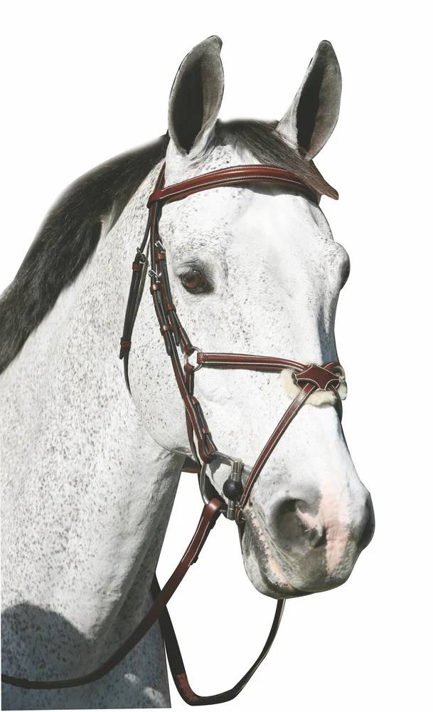 Henri de Rivel Pro Mono Crown Raised Figure 8 Bridle with Rubber Reins