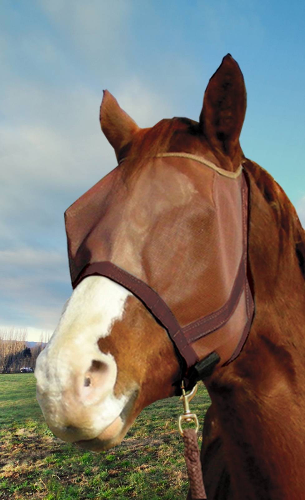 Kensington Natural Look Catch Fly Mask