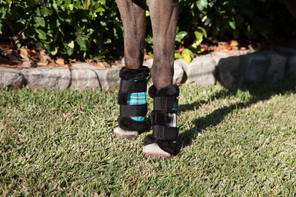 Kensington Miniature Horse Fly Boots HorseLoverZ