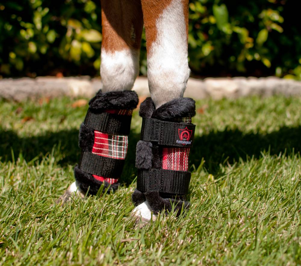 Kensington Miniature Horse Fly Boots | HorseLoverZ