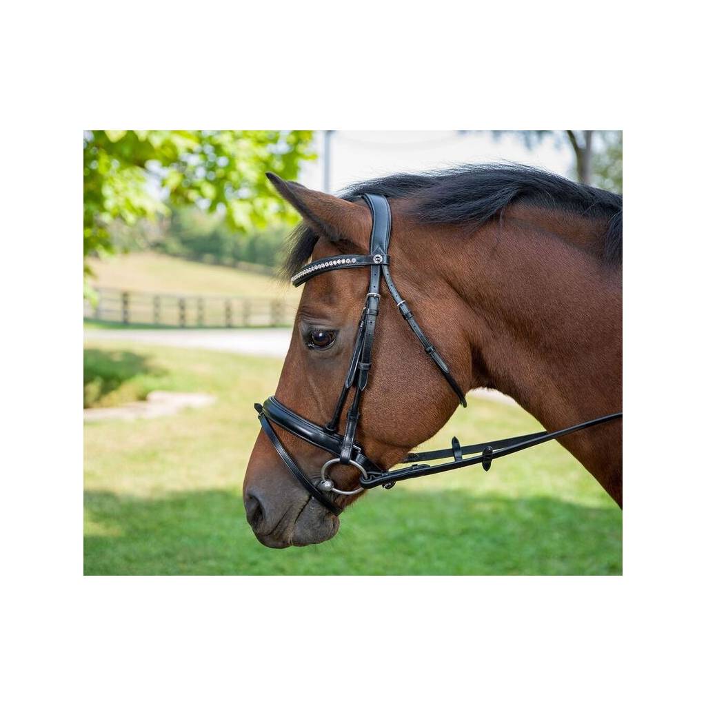 Henri de Rivel Diamonte Dressage Bridle