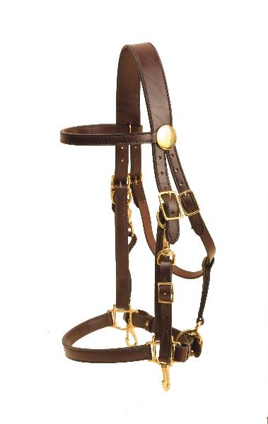 Tory Leather Heavy Duty Halter/Bridle Combo