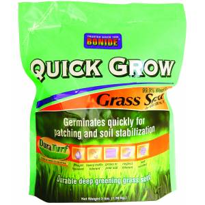 Quick Grow Grass Seed
