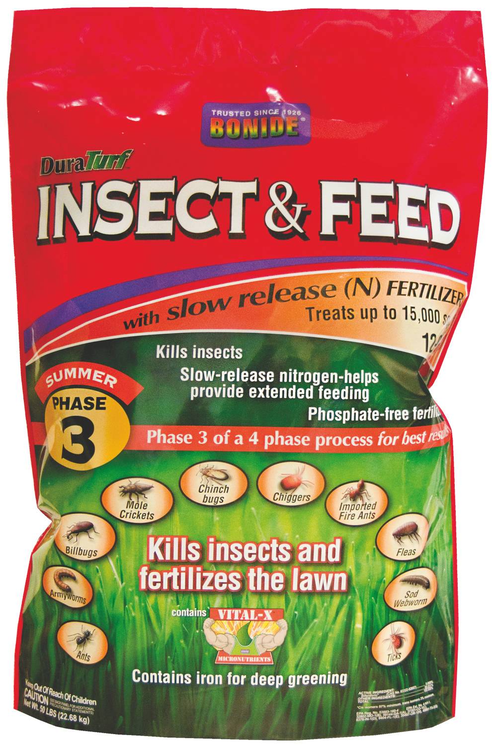 These insects feed on our. These insects feed on our