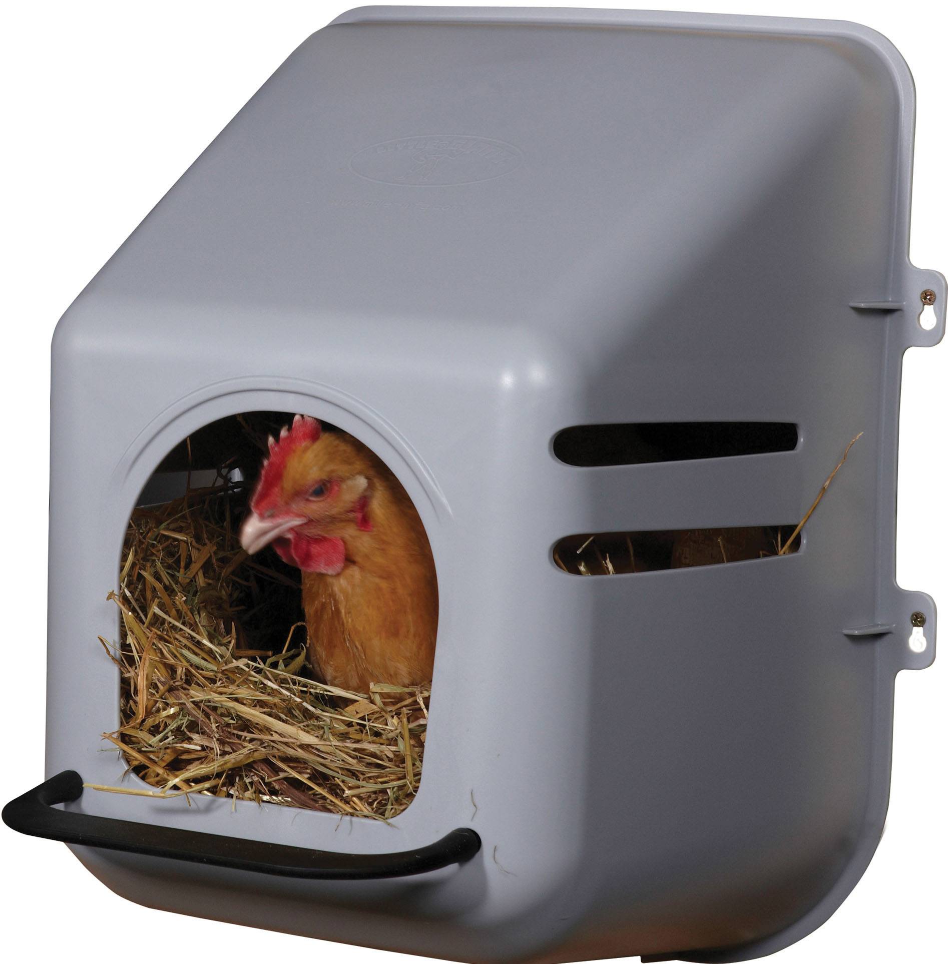 Little Giant Wall Mount Nesting Box