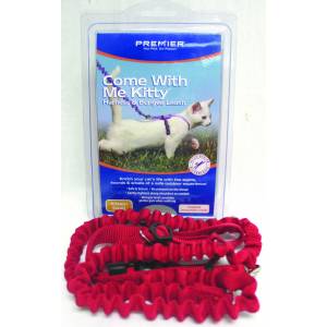 Petsafe Come With Me Kitty Harness & Bungee Leash - Red - Kitten/Small