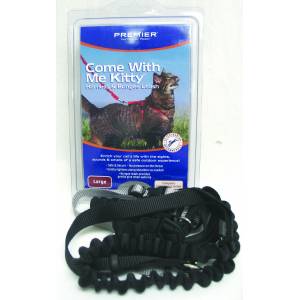 Petsafe Come With Me Kitty Harness & Bungee Leash - Black - Large