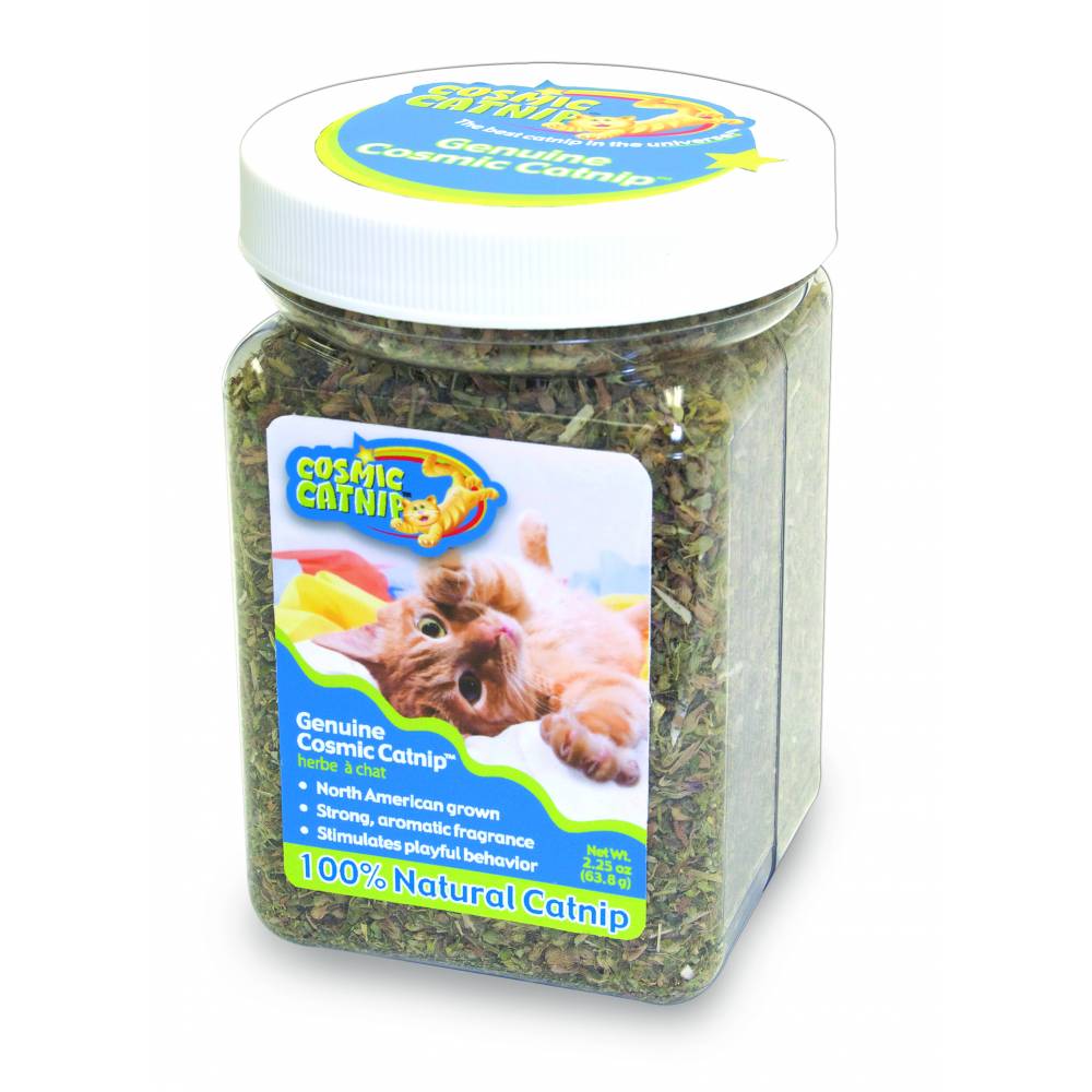 Cosmic Catnip Jar HorseLoverZ