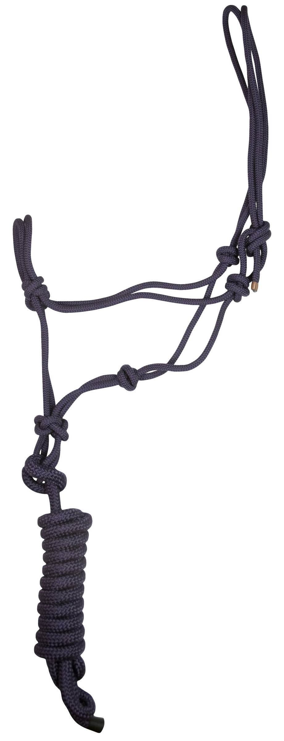 Gatsby Classic Cowboy Halter with Lead