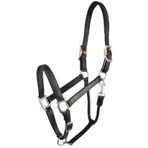 MEMORIAL DAY BOGO: Gatsby Padded Leather Halter - Black - Horse - YOUR PRICE FOR 2
