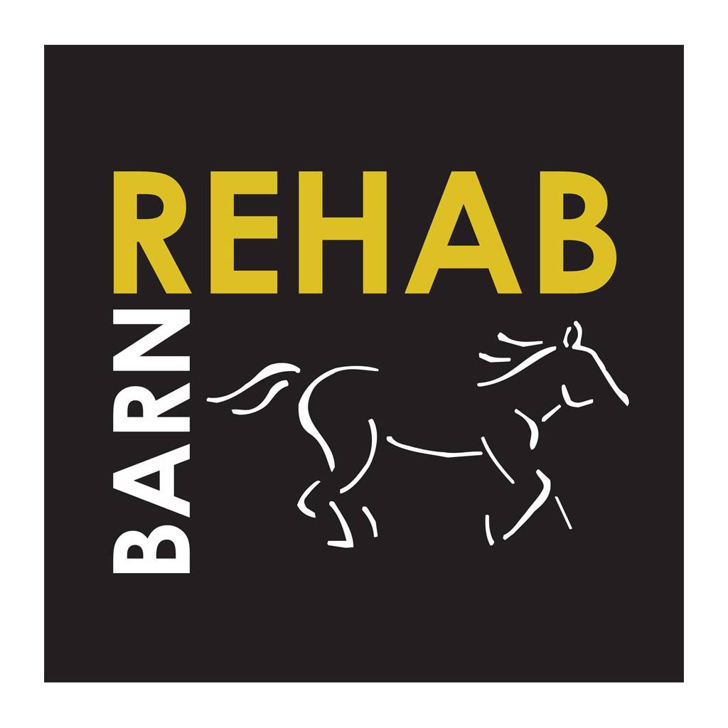 Sound Equine Ladies Tee Shirt Barn Rehab