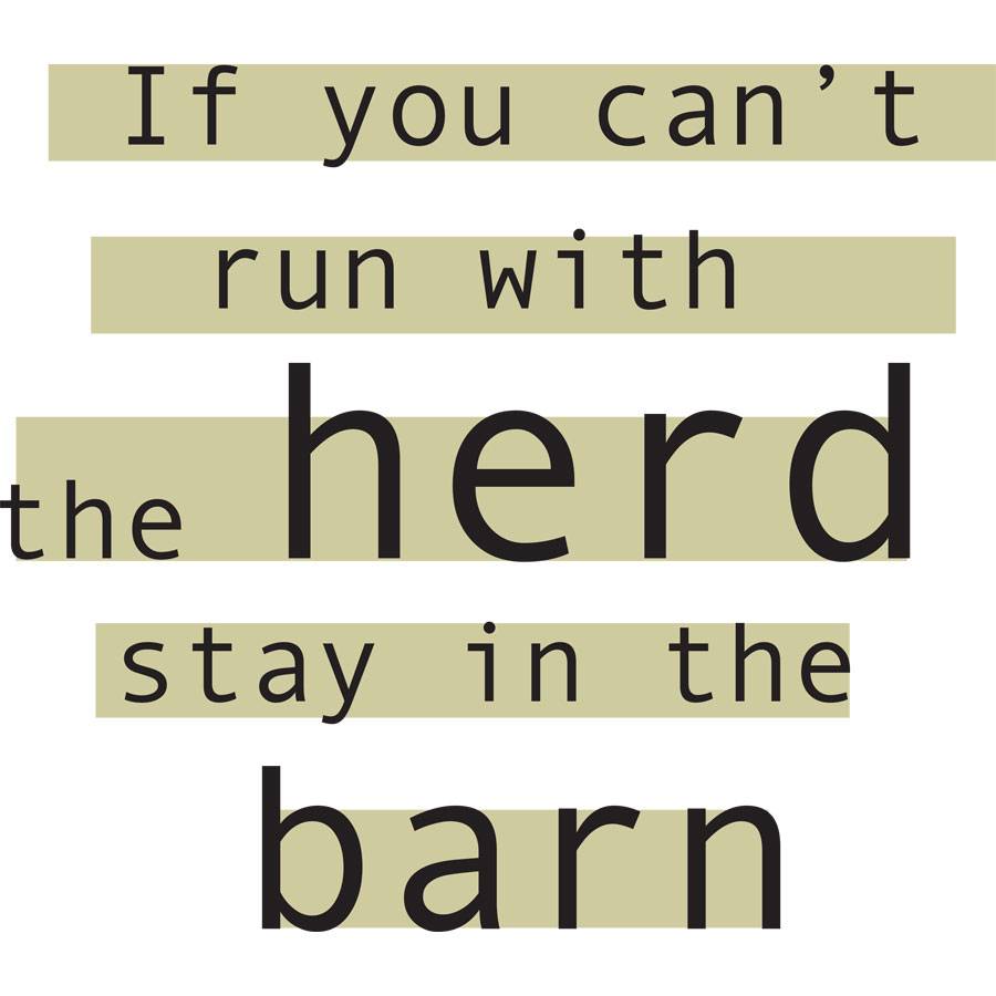 Sound Equine Ladies Tee Shirt If You Can't Run With The Herd