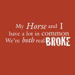 Sound Equine Ladies Tee Shirt My Horse And I Have a lot in Common