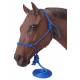 Tough-1 Poly Rope Tied Halter w/ Lead - 6 Pack