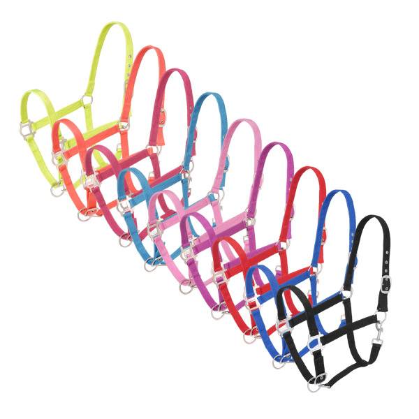 Tough-1 6 Pack Nylon Halter with Satin Hardware