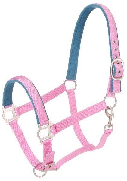 Tough-1 Nylon Padded Halter with  Satin Hardware - 5 Pack