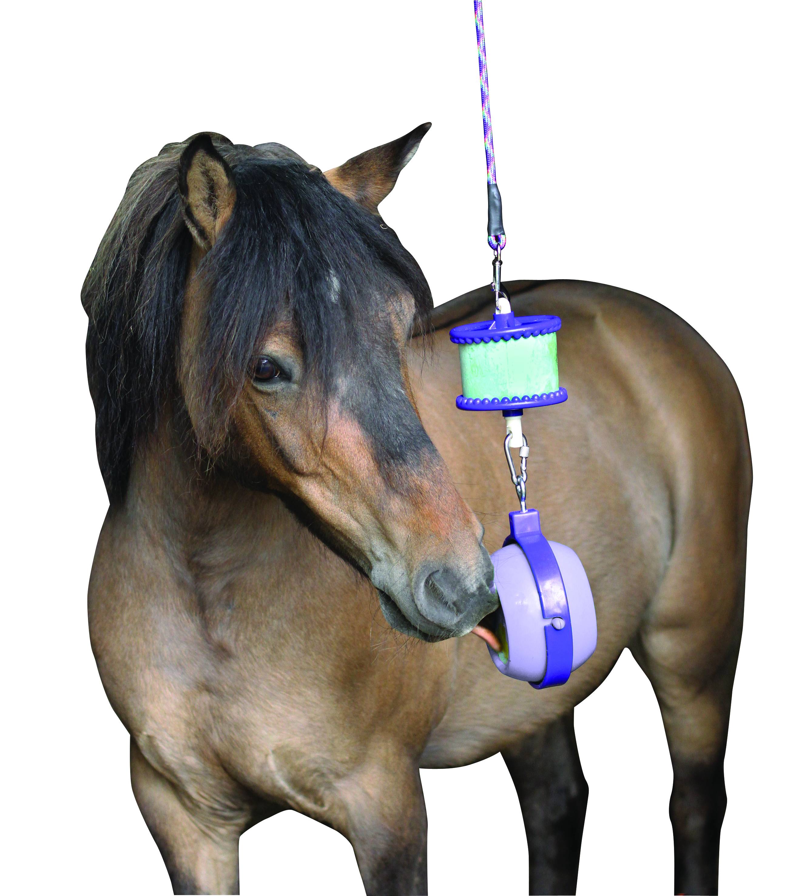 likit boredom buster