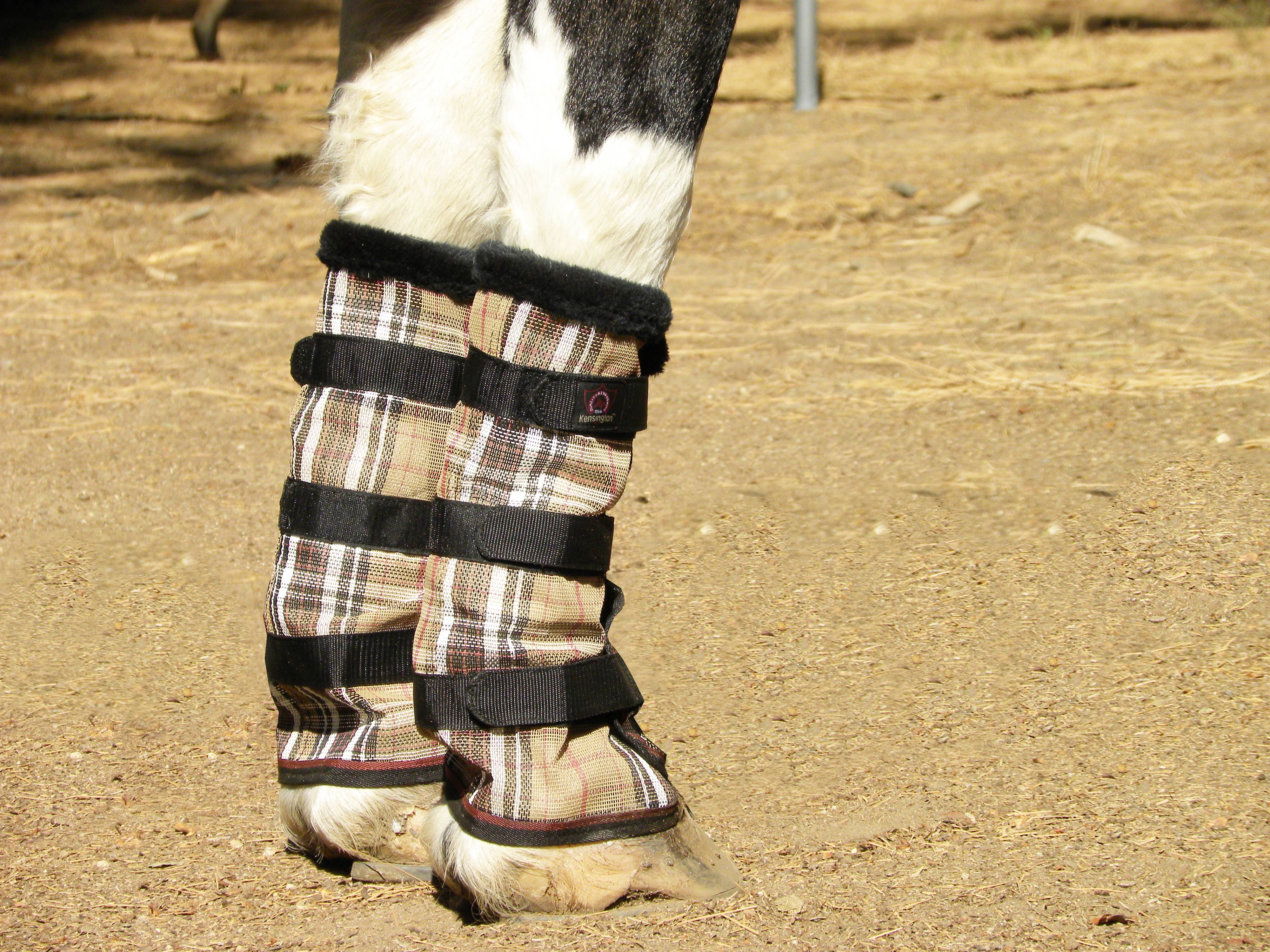 Draft horse fly boots sale