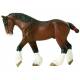 Clydesdale Adult