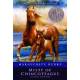 Misty Of Chincoteague, Paperback