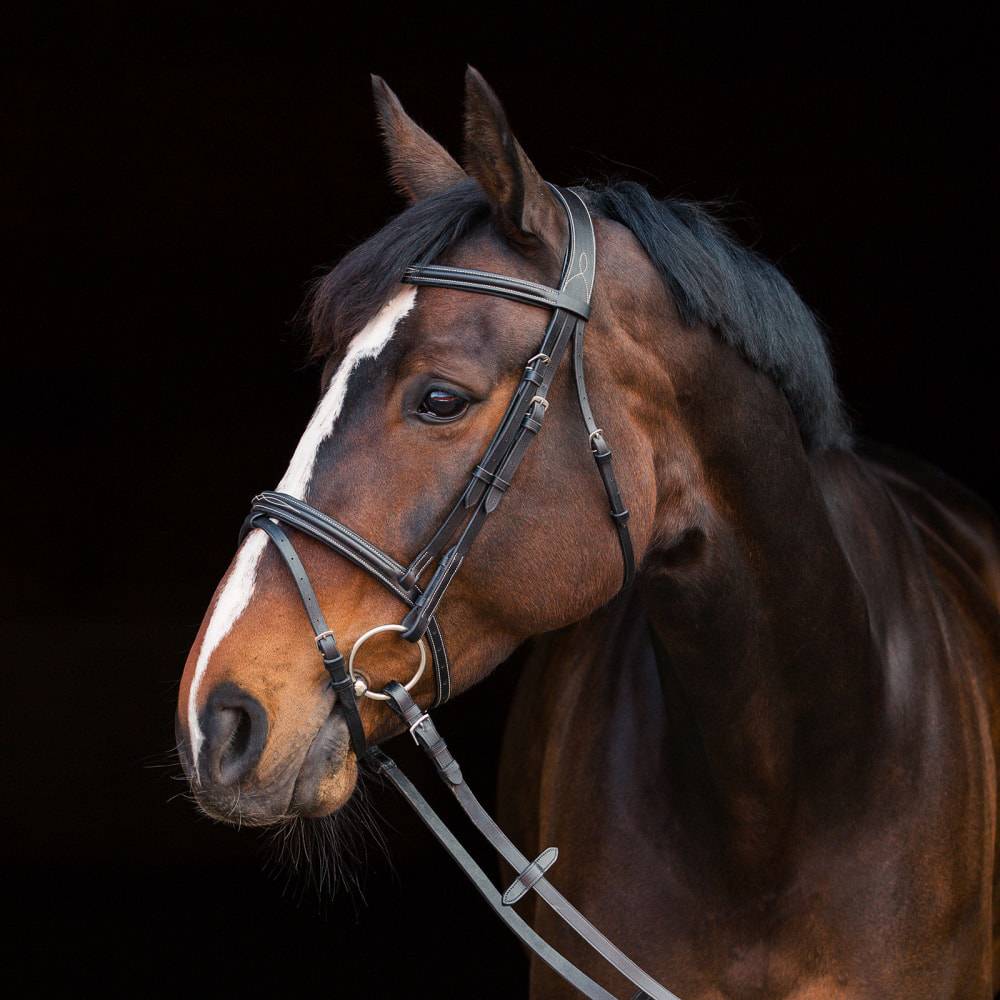 10040-BL-XF Horze Constance Padded Fancy Stitch Bridle with Re sku 10040-BL-XF