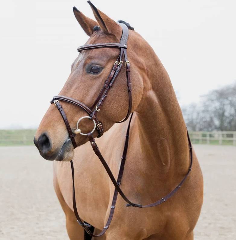 10040-LBR-F Horze Constance Padded Fancy Stitch Bridle with Re sku 10040-LBR-F