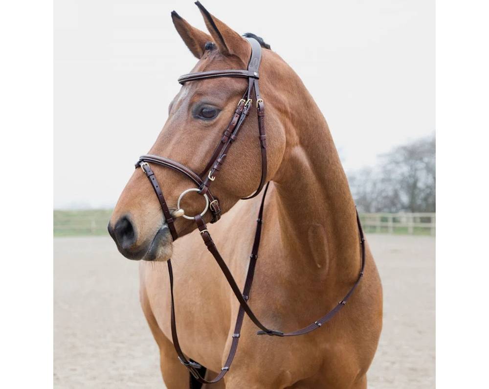 HorZe Constance Bridle With Fancy Stitchings HorseLoverZ