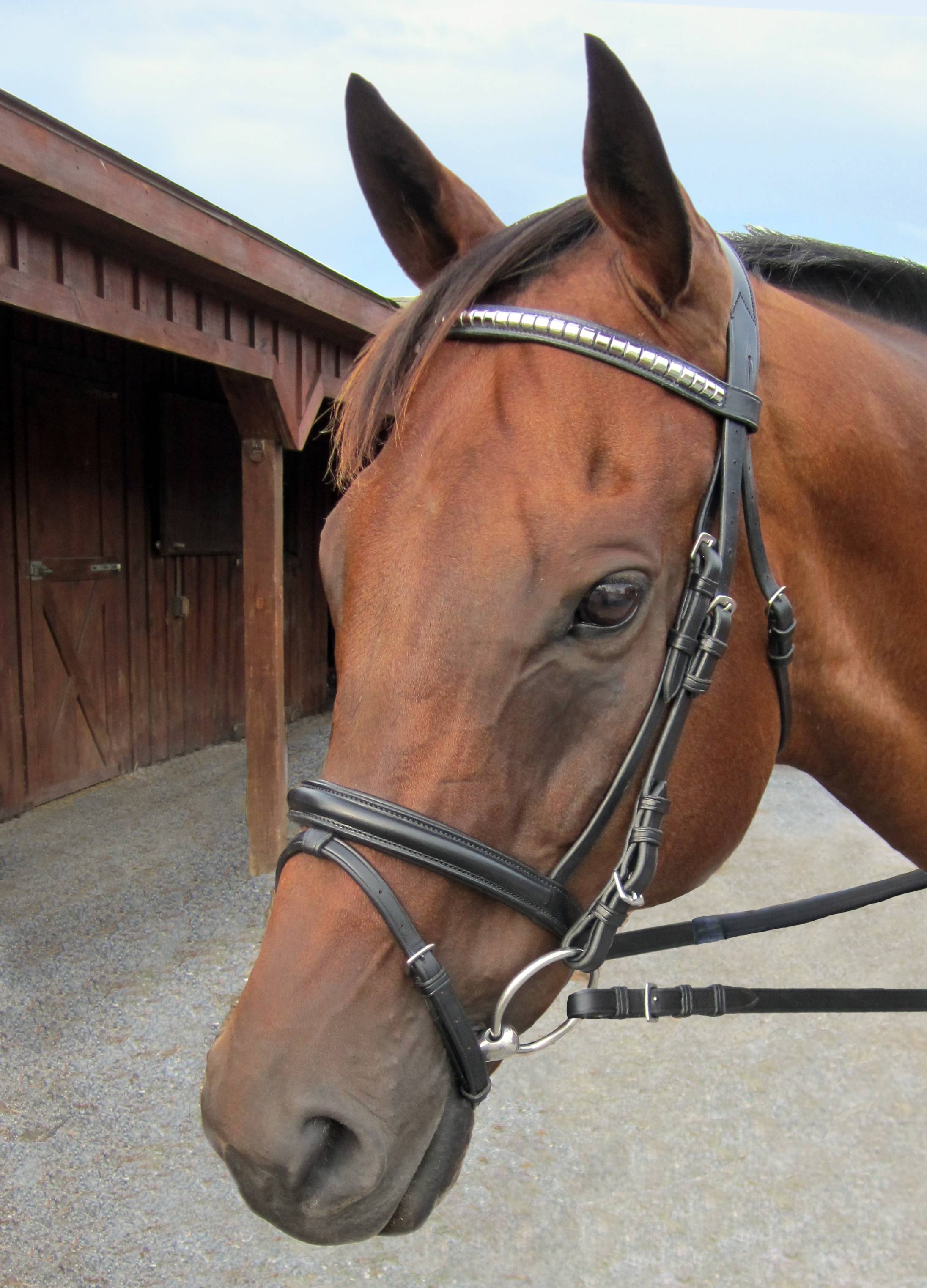 Gatsby Clincher Browband