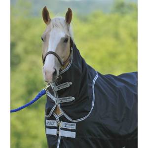 Leg Strap For Blankets (Horse Size), Sold as Pair - Black - Gass