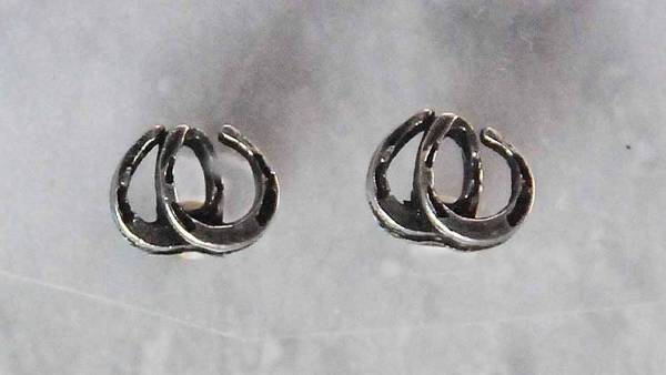 Finishing Touch Double Horseshoe Earrings