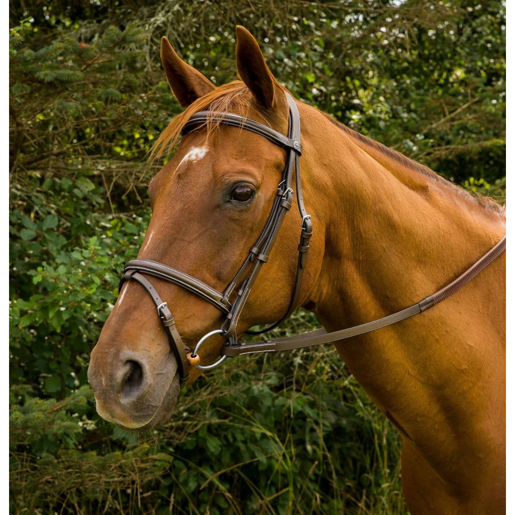 Henri de Rivel Pro Mono Crown Bridle with Flash and Rubber Reins