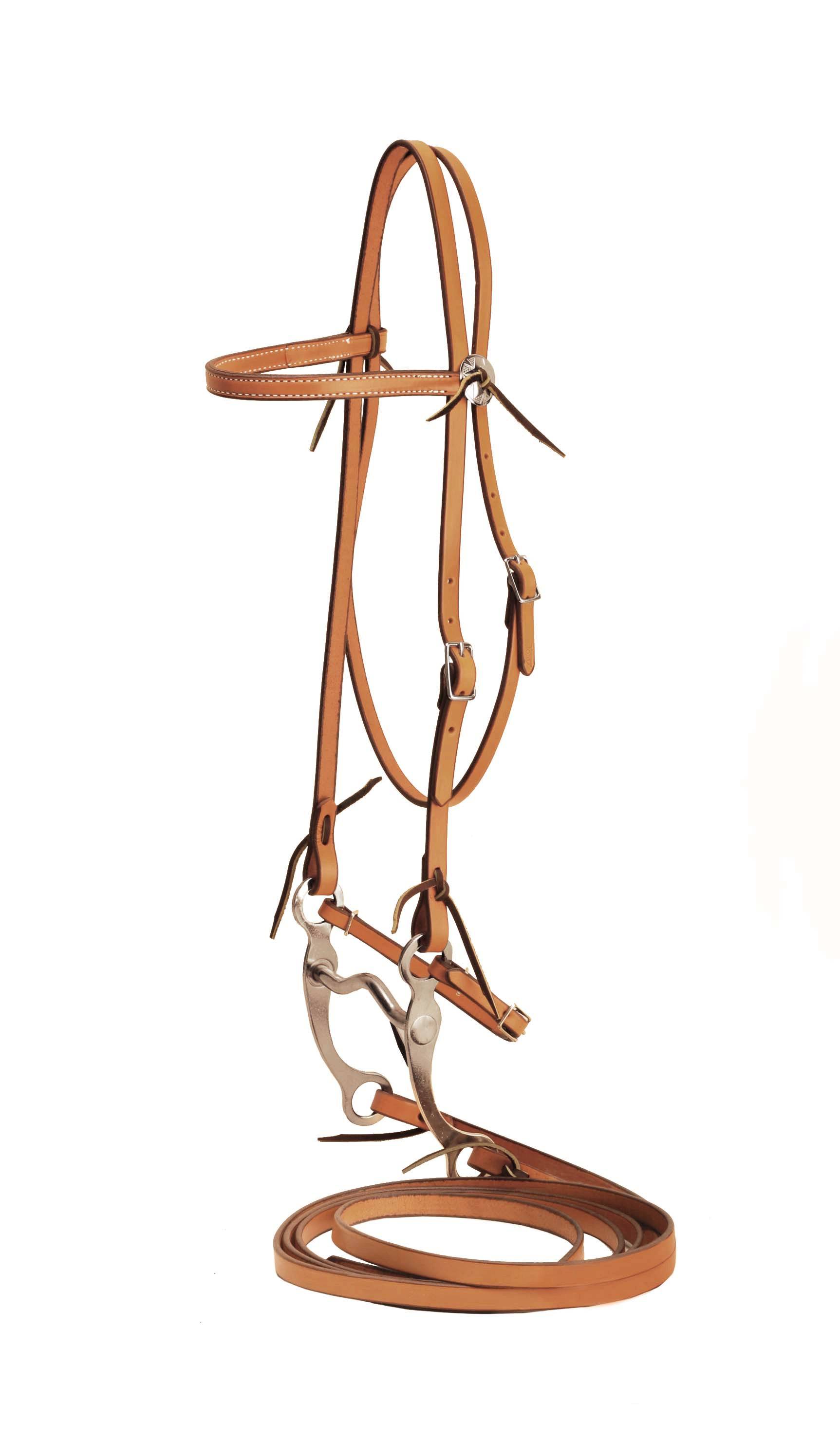 Tory Leather Full Bridle with Curb Bit