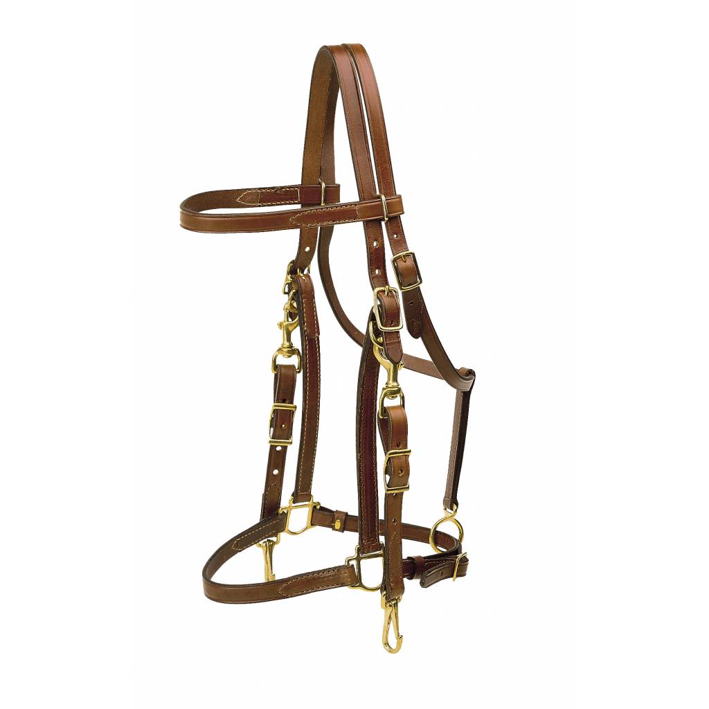 Tory Leather Halter/Bridle Combination Trail Bridle - Brass Hardware