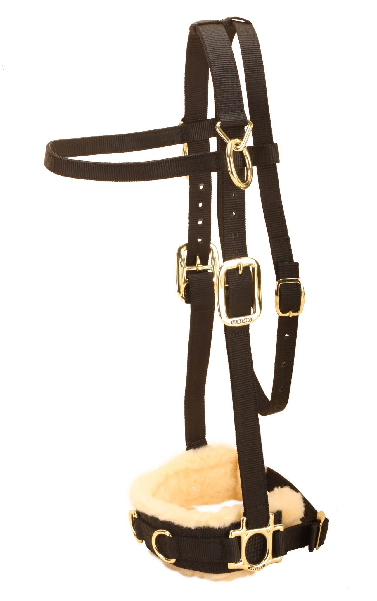 Tory Leather Nylon Lunge Caveson