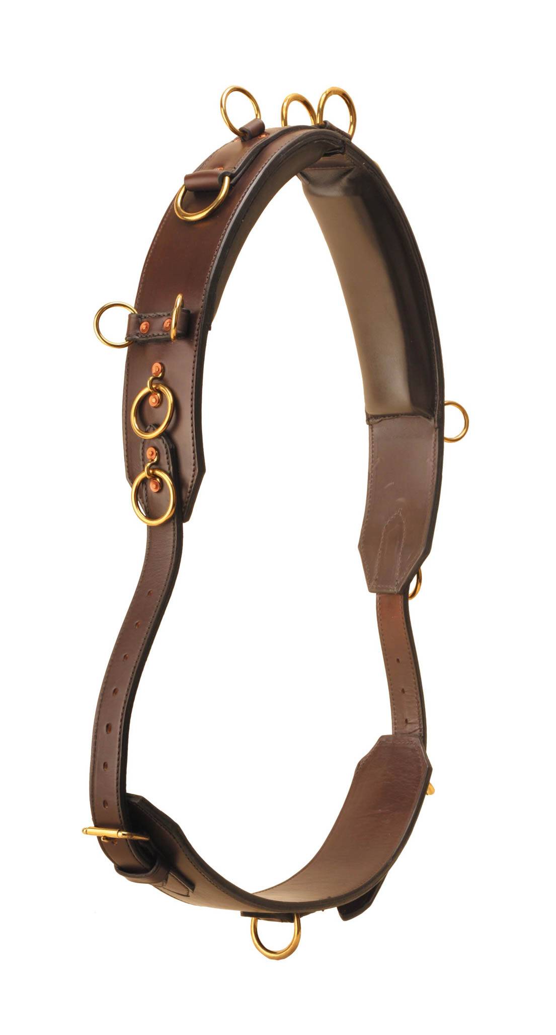 Tory Leather Deluxe Surcingle