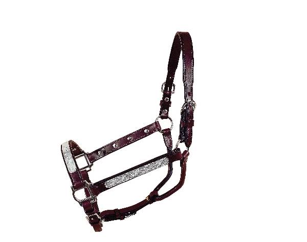 Tory Leather Oklahoma Straight Cheek Economy Show Halter