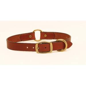 Tory Leather Leather Hunting Dog Safety Collar