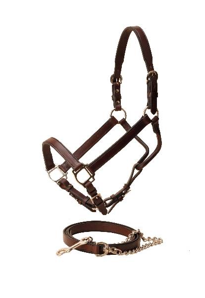 Tory Leather Tapering Crown Show Halter & Chain - Nickel