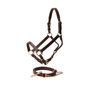 Tory Leather Tapering Crown Show Halter & Chain - Nickel