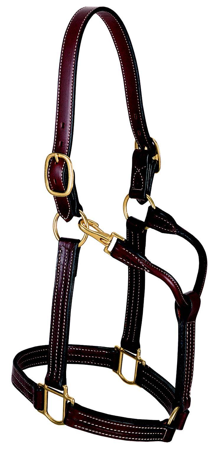 Weaver Leather 1" Thoroughbred Halter
