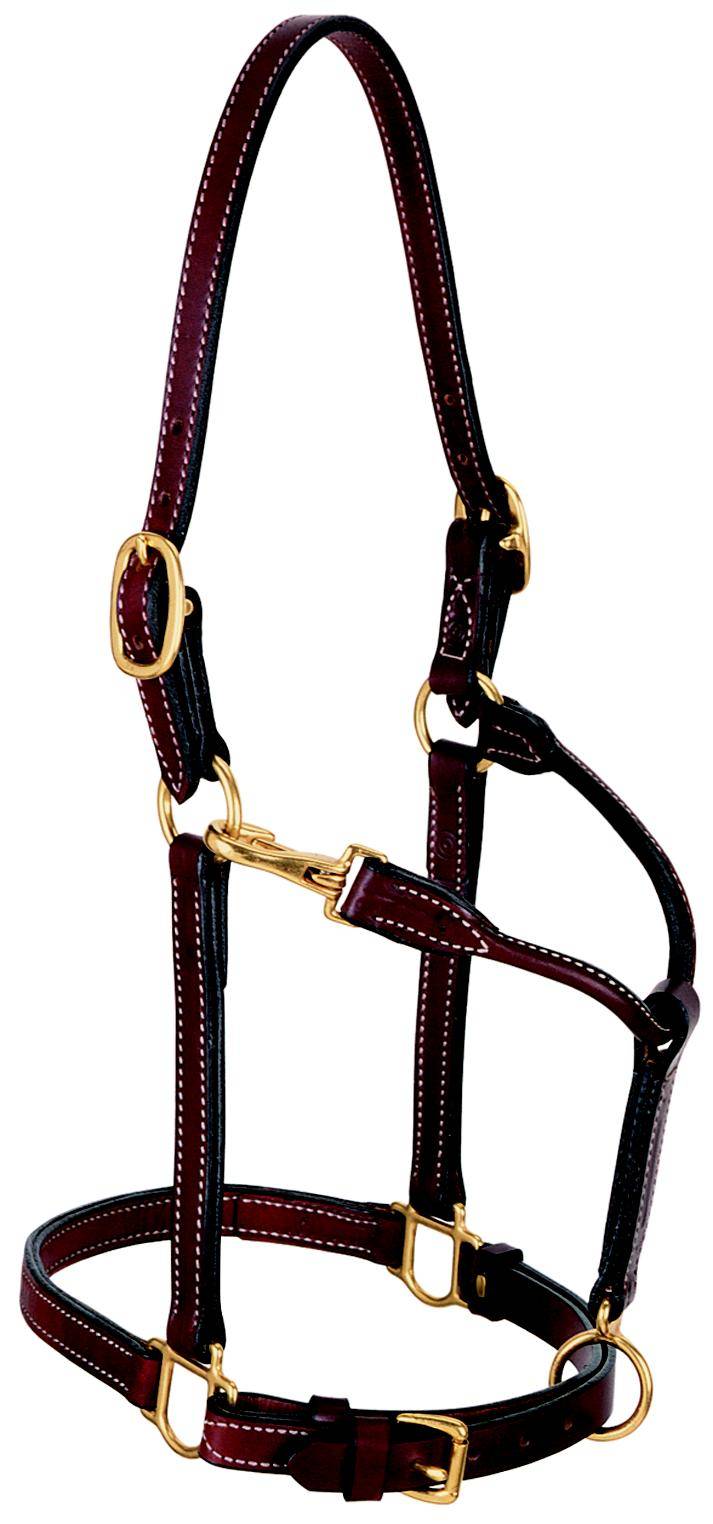 Weaver Leather 3/4" Double Buckle Crown Halter