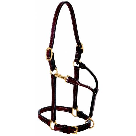 Weaver Leather 3/4" Double Buckle Leather Halter