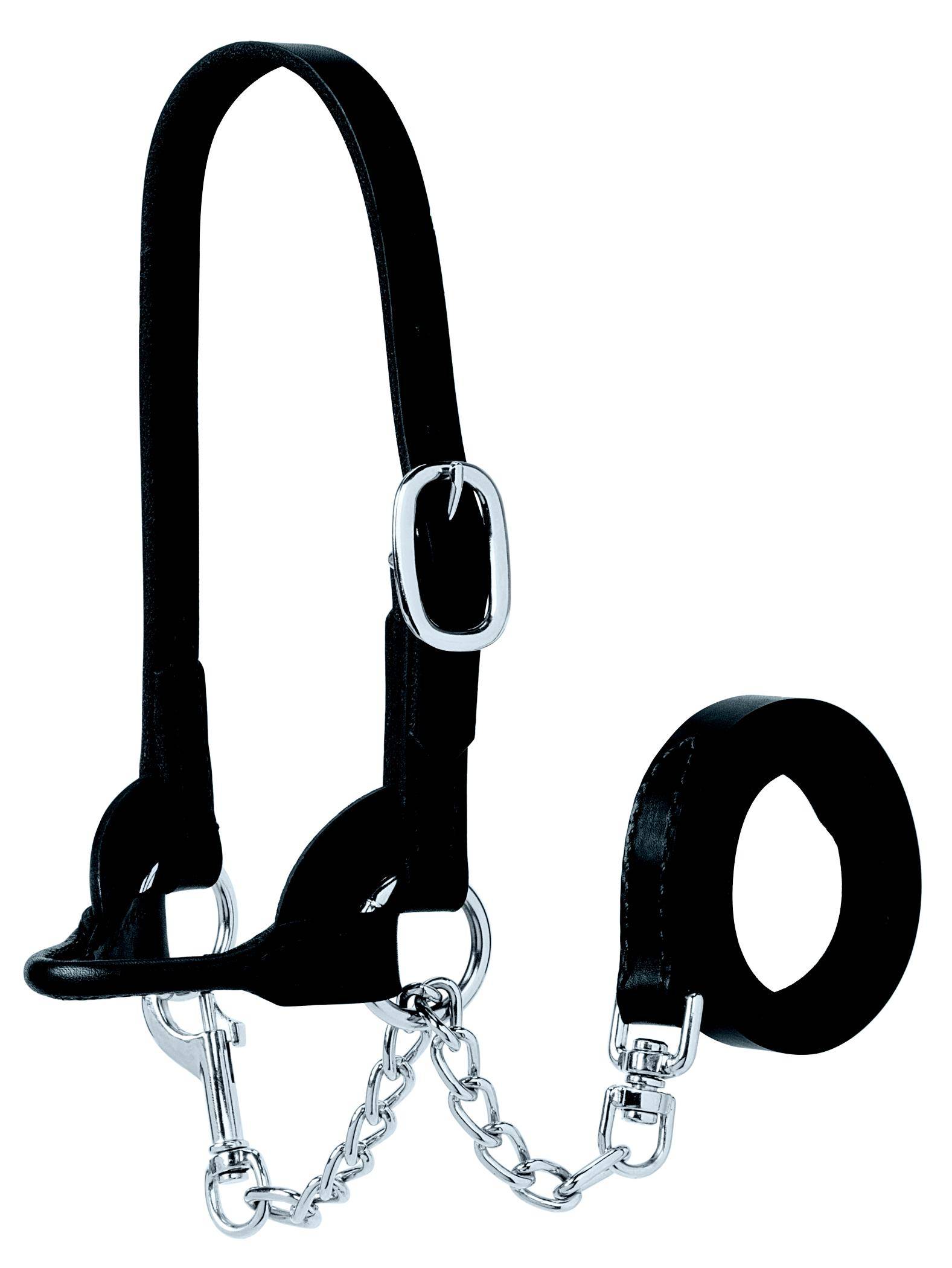 Weaver Leather Sheep/Calf Show Halter