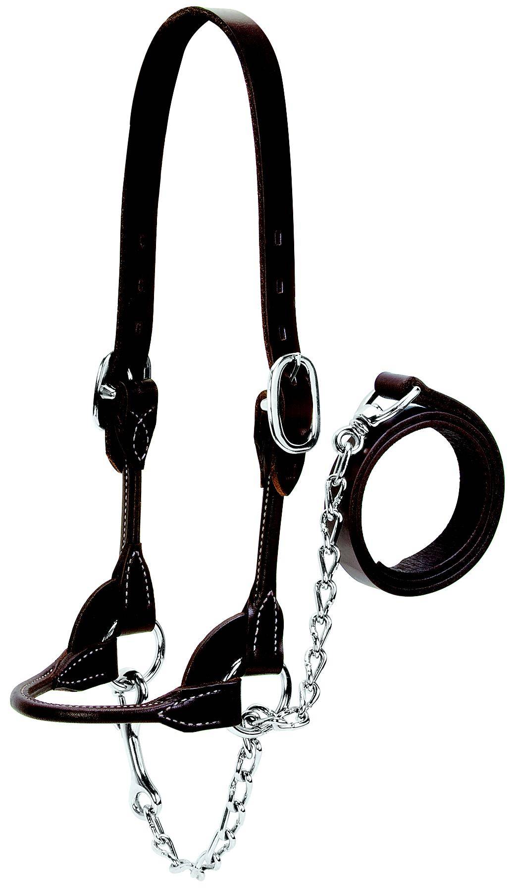 Weaver Leather Cattle Rounded Show Halter
