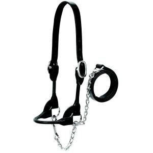Weaver Leather Cattle Rounded Show Halter