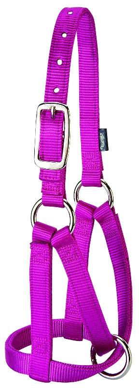 Weaver Leather Llama Halter