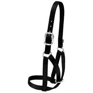 Weaver Leather Barn Cow Halter