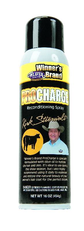 Weaver Leather Stierwalt ProCharge Reconditioning Spray