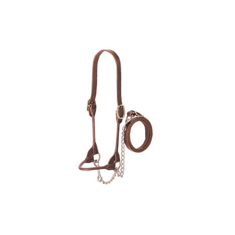 Weaver Leather Dairy/Beef Rounded Show Halter
