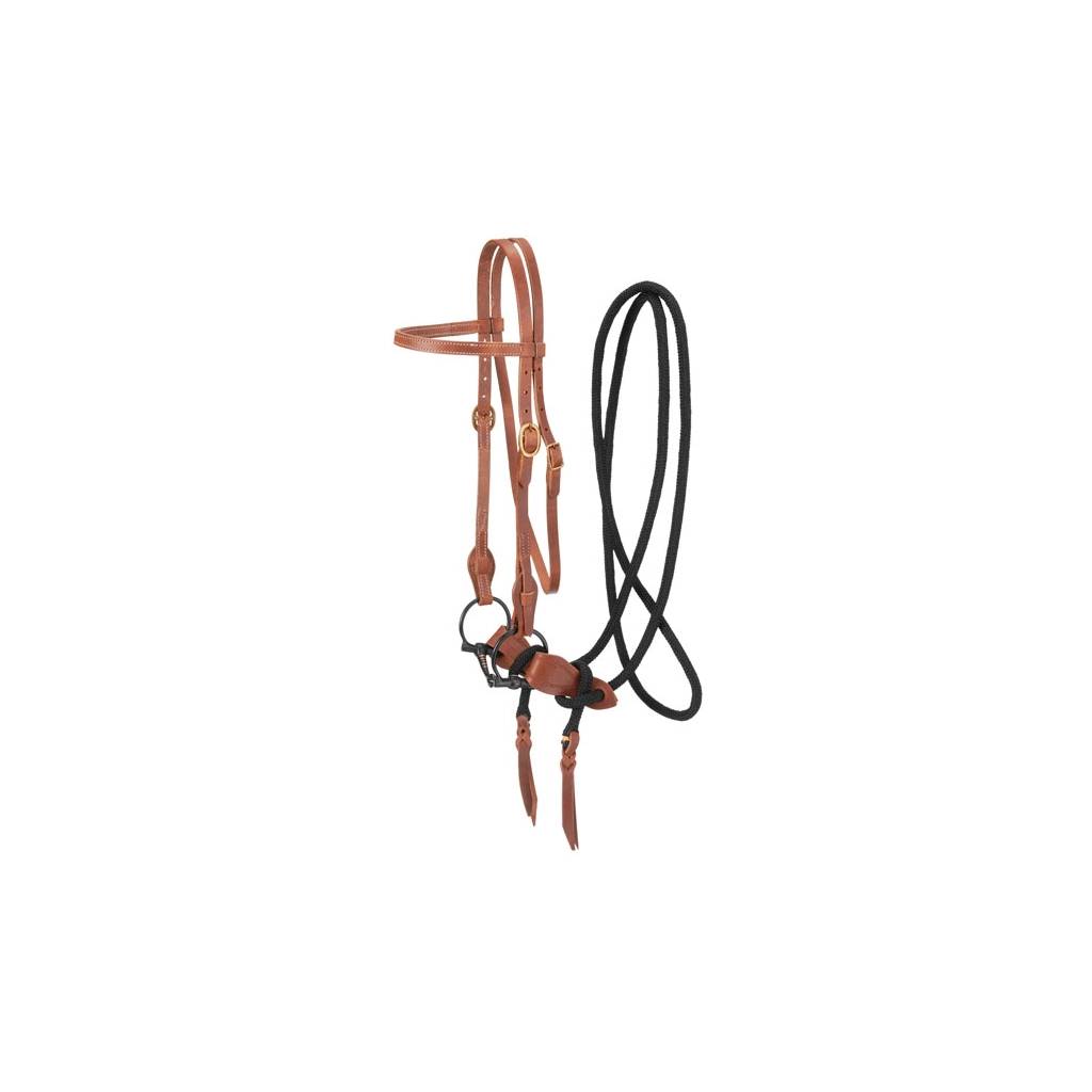 Harness Leather Training Bridle